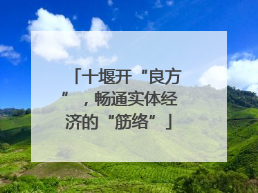 十堰开“良方”，畅通实体经济的“筋络”