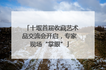 十堰首届收藏艺术品交流会开启，专家现场“掌眼”
