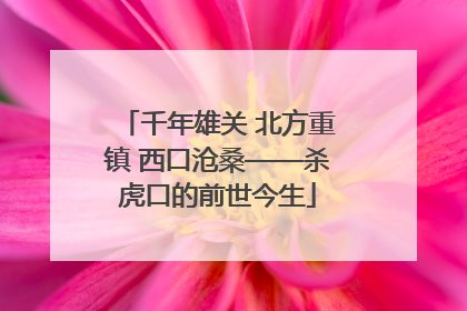 千年雄关 北方重镇 西口沧桑——杀虎口的前世今生