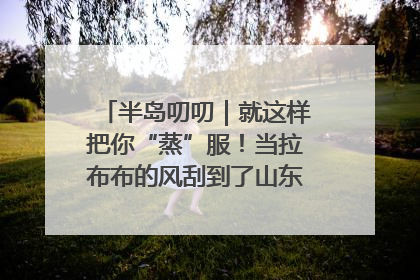 半岛叨叨｜就这样把你“蒸”服！当拉布布的风刮到了山东馒头界……