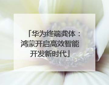 华为终端龚体：鸿蒙开启高效智能开发新时代