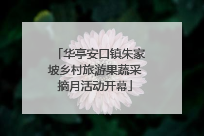 华亭安口镇朱家坡乡村旅游果蔬采摘月活动开幕