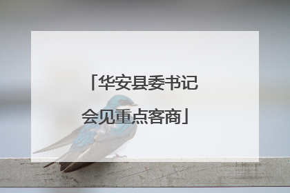 华安县委书记会见重点客商