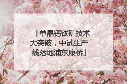 单晶钙钛矿技术大突破，中试生产线落地浦东康桥