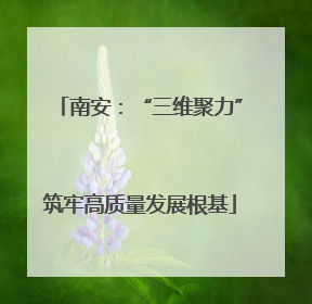 南安：“三维聚力”筑牢高质量发展根基