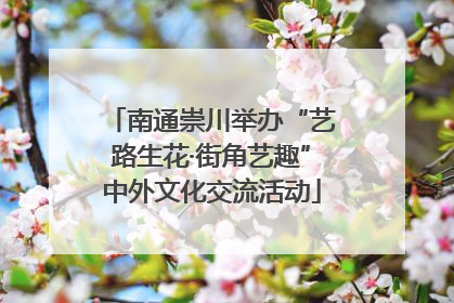 南通崇川举办“艺路生花·街角艺趣”中外文化交流活动