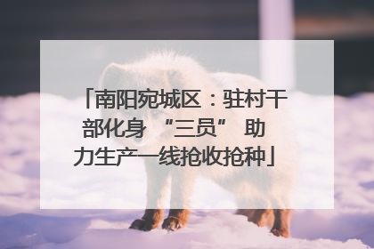 南阳宛城区：驻村干部化身 “三员” 助力生产一线抢收抢种