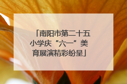 南阳市第二十五小学庆“六一”美育展演精彩纷呈