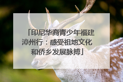印尼华裔青少年福建漳州行：感受祖地文化和侨乡发展脉搏