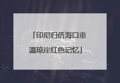 印尼归侨海口重温琼崖红色记忆