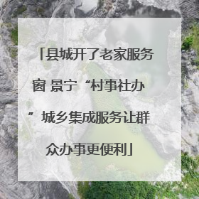 县城开了老家服务窗 景宁“村事社办”城乡集成服务让群众办事更便利