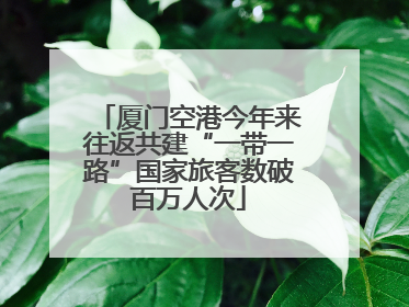 厦门空港今年来往返共建“一带一路”国家旅客数破百万人次
