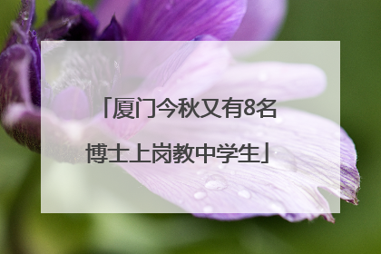 厦门今秋又有8名博士上岗教中学生