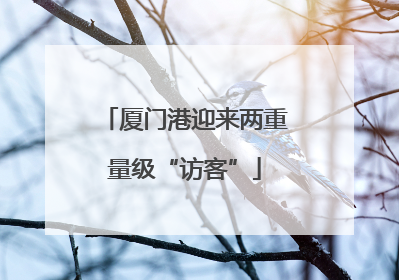 厦门港迎来两重量级“访客”