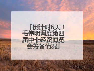 倒计时6天！毛伟明调度第四届中非经贸博览会筹备情况