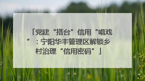 党建“搭台”信用“唱戏”：宁阳华丰管理区解锁乡村治理“信用密码”