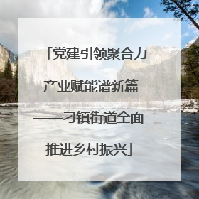 党建引领聚合力 产业赋能谱新篇——刁镇街道全面推进乡村振兴