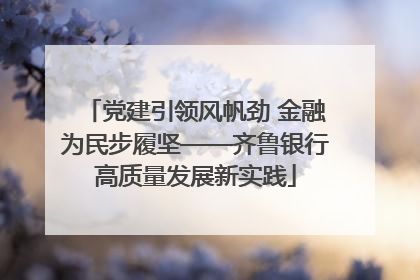 党建引领风帆劲 金融为民步履坚——齐鲁银行高质量发展新实践