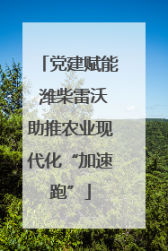 党建赋能 潍柴雷沃助推农业现代化“加速跑”