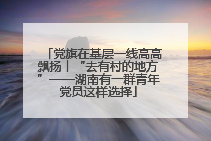 党旗在基层一线高高飘扬丨“去有村的地方”——湖南有一群青年党员这样选择