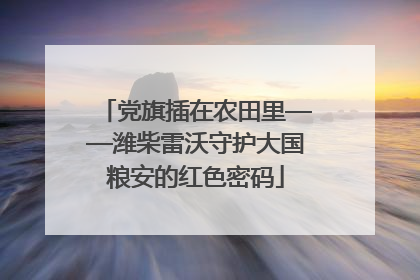 党旗插在农田里——潍柴雷沃守护大国粮安的红色密码