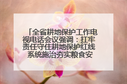 全省耕地保护工作电视电话会议强调：扛牢责任守住耕地保护红线 系统施治夯实粮食安全根基 王宁作出批示 王予波出席并讲话