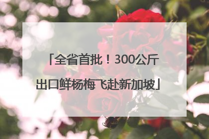 全省首批！300公斤出口鲜杨梅飞赴新加坡