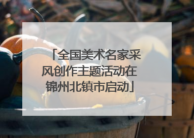 全国美术名家采风创作主题活动在锦州北镇市启动