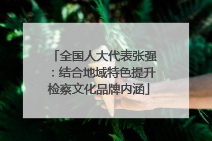 全国人大代表张强：结合地域特色提升检察文化品牌内涵