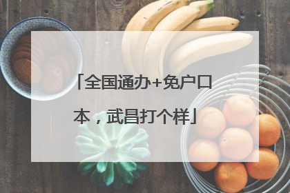 全国通办+免户口本，武昌打个样