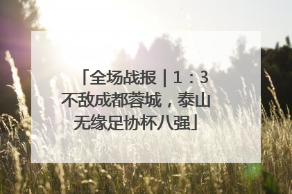 全场战报｜1：3不敌成都蓉城，泰山无缘足协杯八强