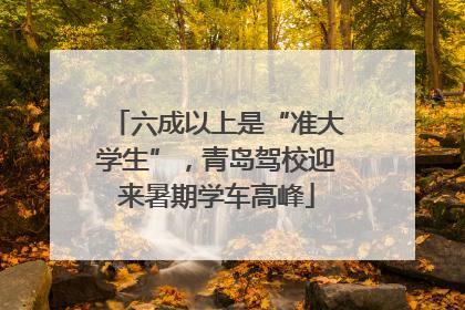 六成以上是“准大学生”，青岛驾校迎来暑期学车高峰