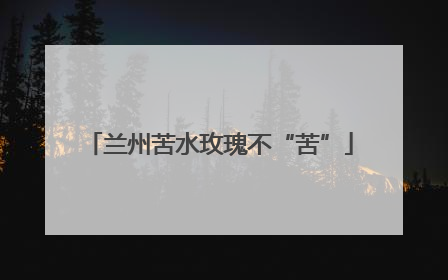 兰州苦水玫瑰不“苦”