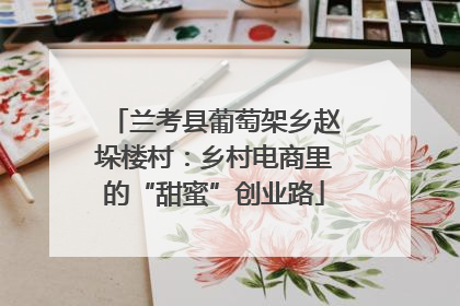 兰考县葡萄架乡赵垛楼村：乡村电商里的“甜蜜”创业路