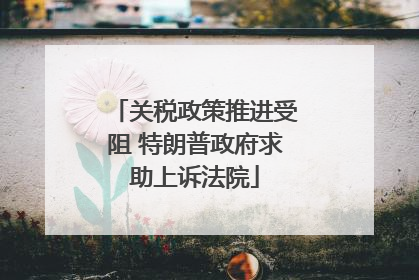 关税政策推进受阻 特朗普政府求助上诉法院