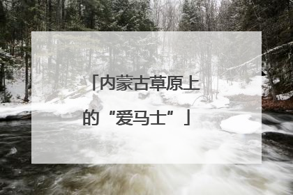 内蒙古草原上的“爱马士”