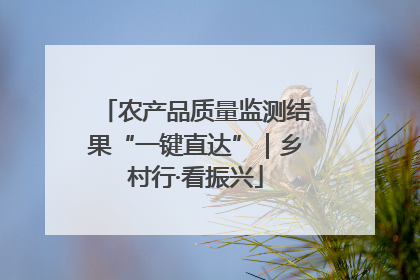 农产品质量监测结果“一键直达”｜乡村行·看振兴