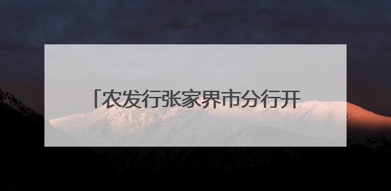 农发行张家界市分行开展“6.14 信用记录关爱日”系列活动