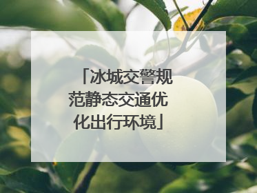 冰城交警规范静态交通优化出行环境