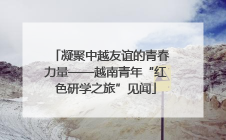 凝聚中越友谊的青春力量——越南青年“红色研学之旅”见闻