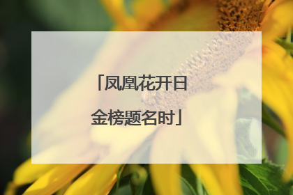 凤凰花开日 金榜题名时