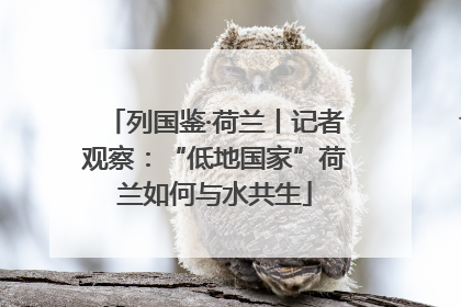 列国鉴·荷兰丨记者观察：“低地国家”荷兰如何与水共生