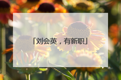 刘会英，有新职
