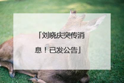刘晓庆突传消息！已发公告