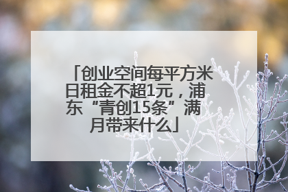 创业空间每平方米日租金不超1元，浦东“青创15条”满月带来什么