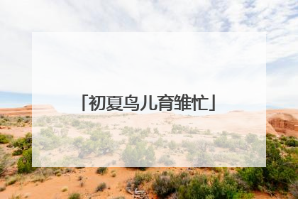 初夏鸟儿育雏忙