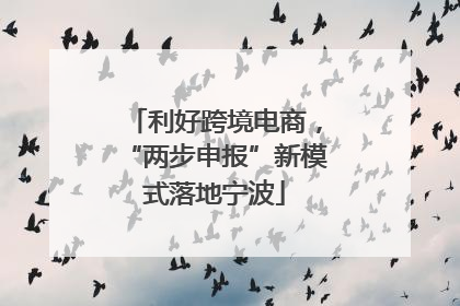 利好跨境电商，“两步申报”新模式落地宁波