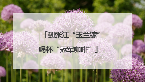 到张江“玉兰镓”喝杯“冠军咖啡”
