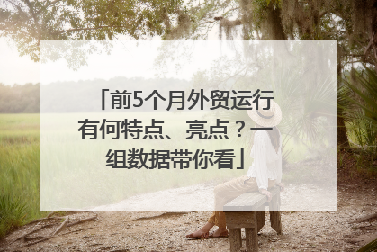前5个月外贸运行有何特点、亮点？一组数据带你看