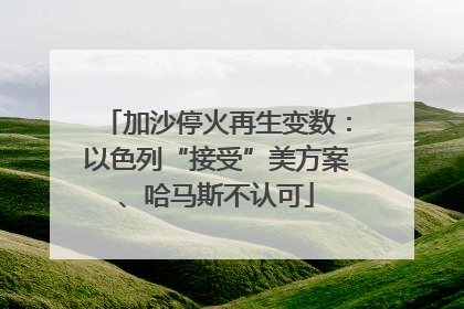 加沙停火再生变数：以色列“接受”美方案、哈马斯不认可